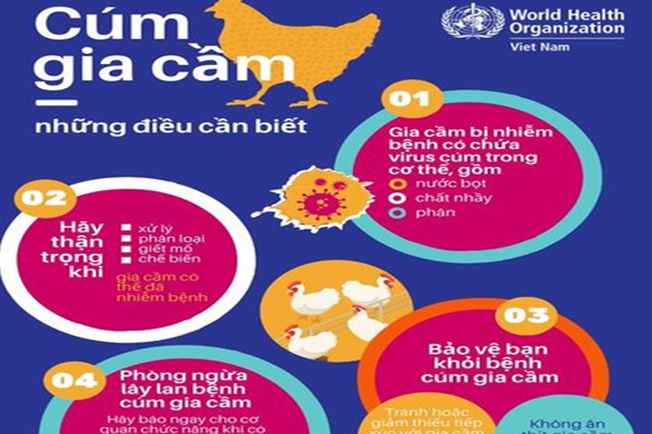 Implement measures to prevent avian influenza